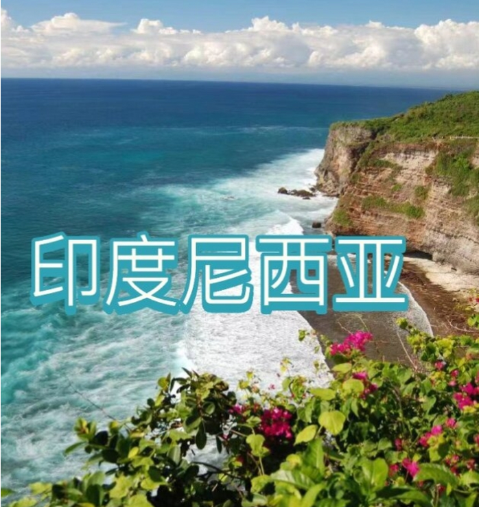 国际电商(印尼)产业博览会pg电子平台2025中国(图2) 国际电商(印尼)产业博览会pg电子平台2025中国(图2)