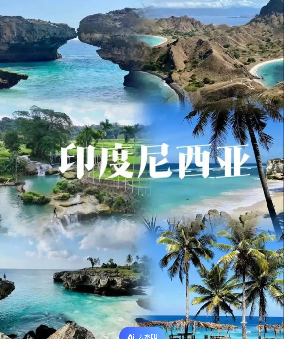 国际电商(印尼)产业博览会pg电子平台2025中国(图3) 国际电商(印尼)产业博览会pg电子平台2025中国(图3)